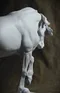 carousel chooser