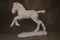 carousel chooser